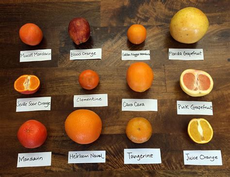 fruits that are similar to oranges